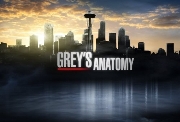 Grey's Anatomy 11