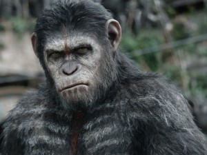 Apes Revolution Il Pianeta delle Scimmie