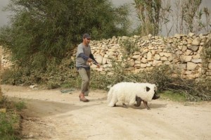 Un insolito naufrago nell’inquieto mare d’Oriente