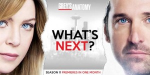 Grey’s Anatomy 11