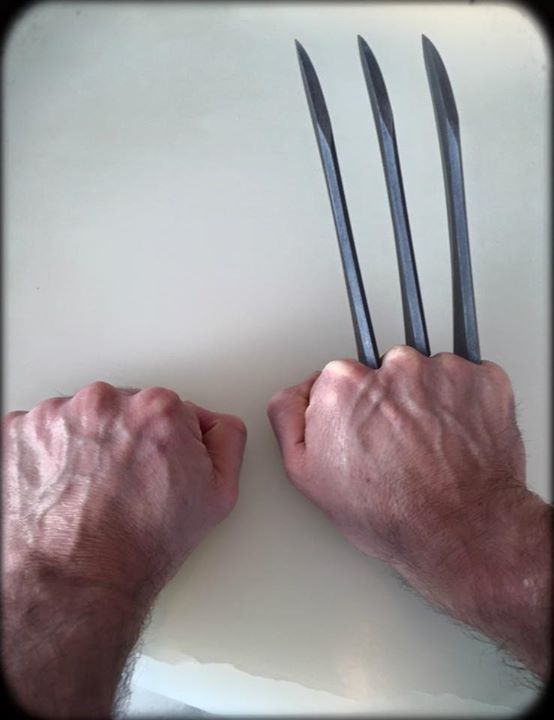 Wolverine