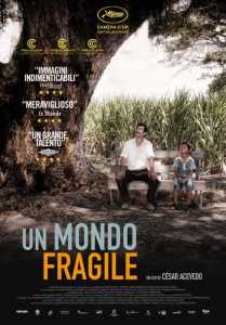 Un mondo fragile poster