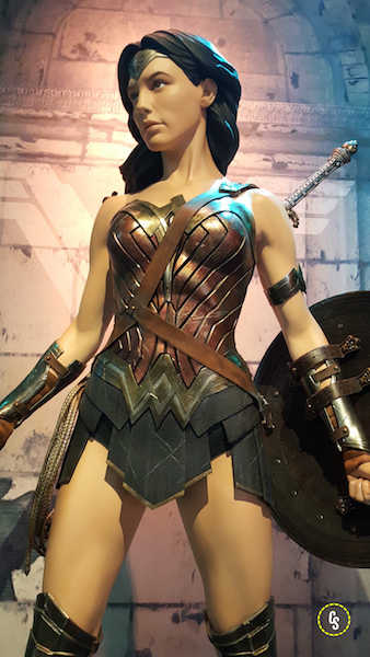 DC Universe- The Exhibit 6