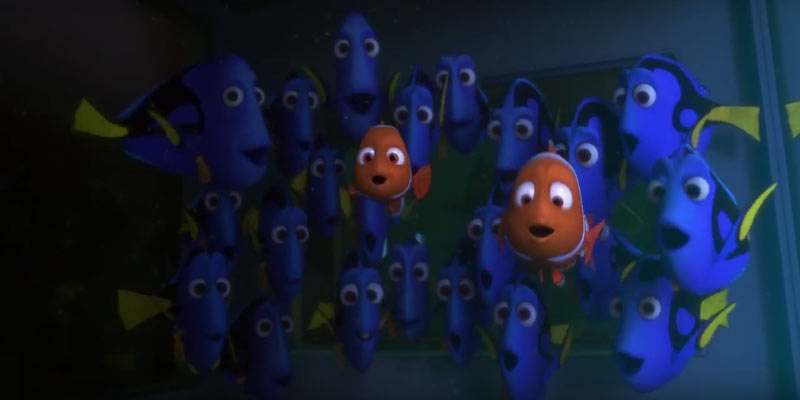 Alla ricerca di Dory Marli Nemo