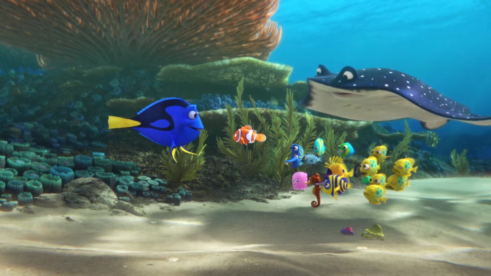 Alla ricerca di Dory