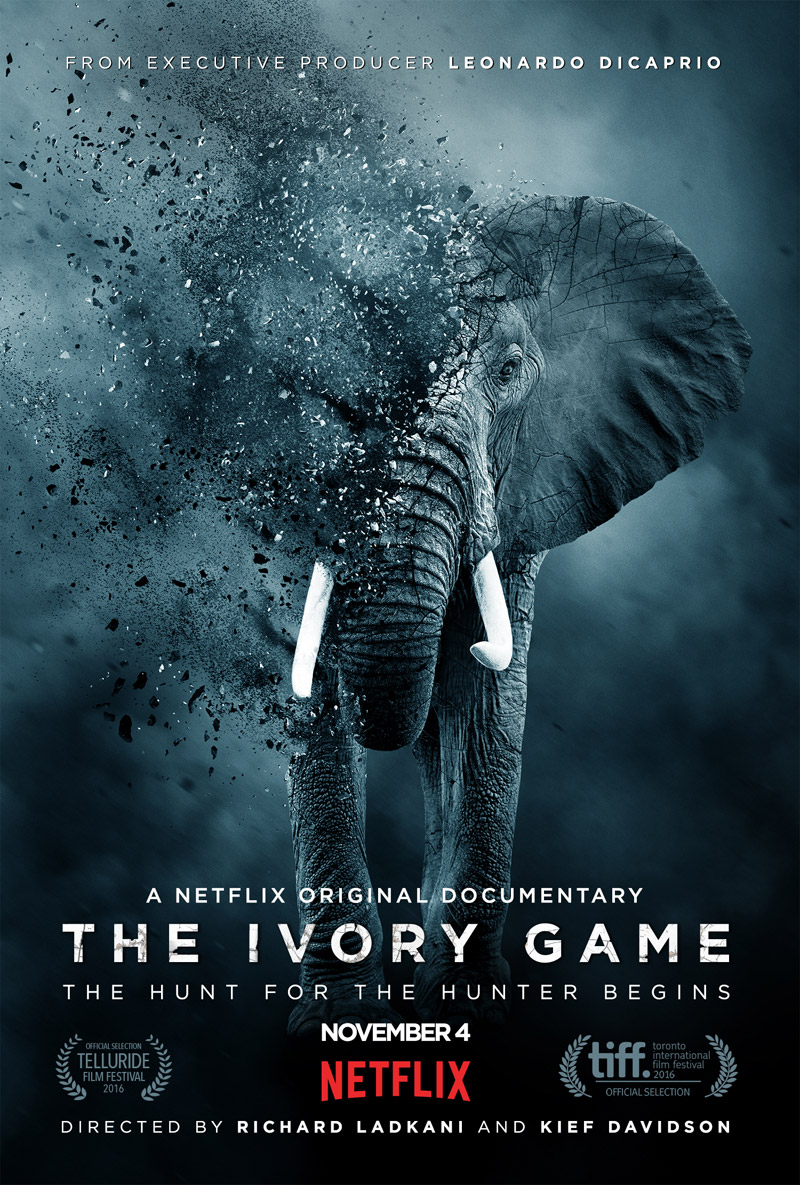 ivorygameposter