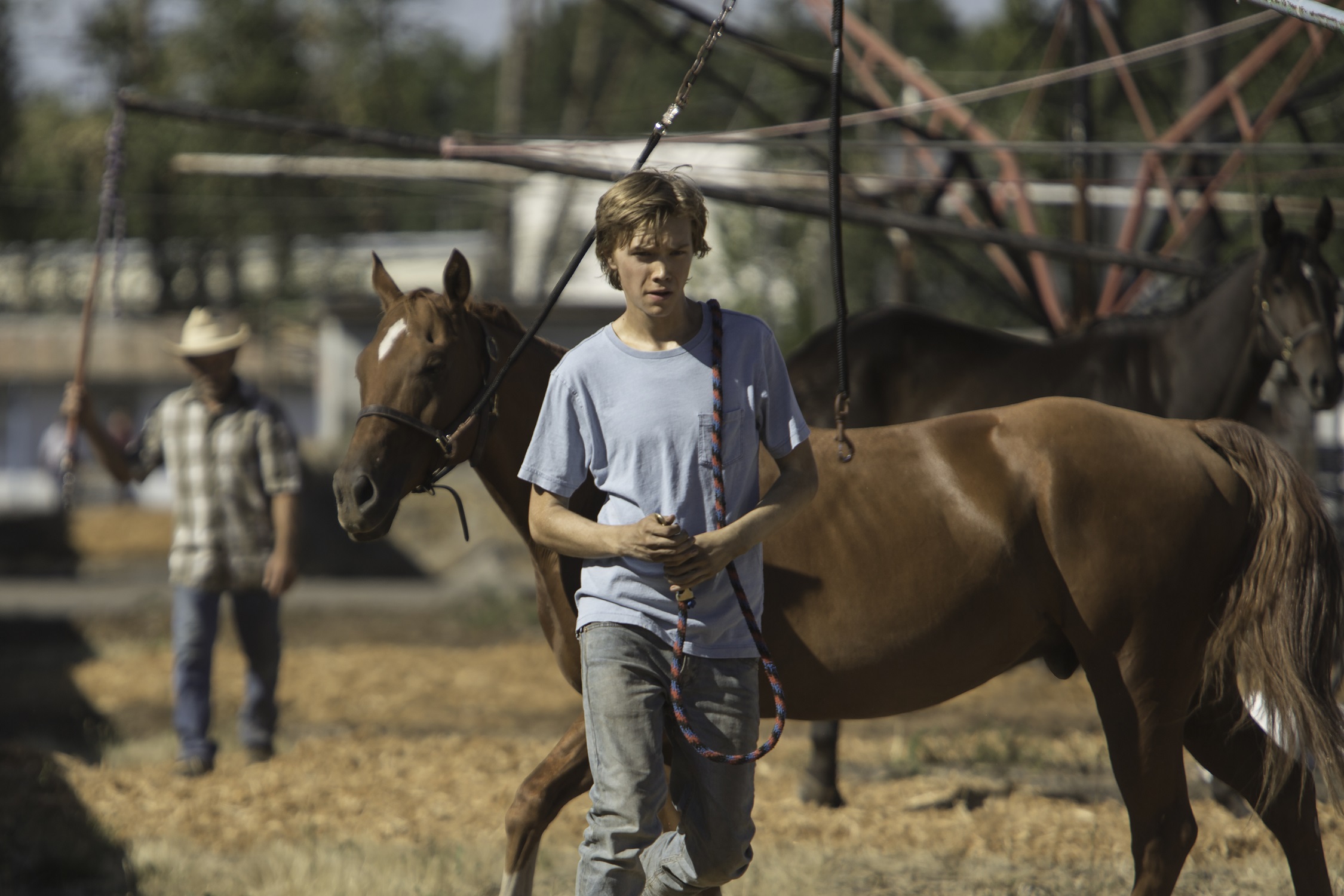 Lean On Pete - Andrew Haigh