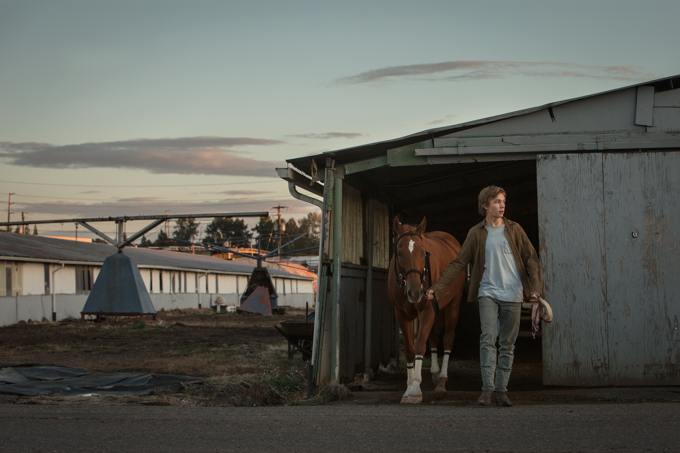 Lean On Pete - Andrew Haigh