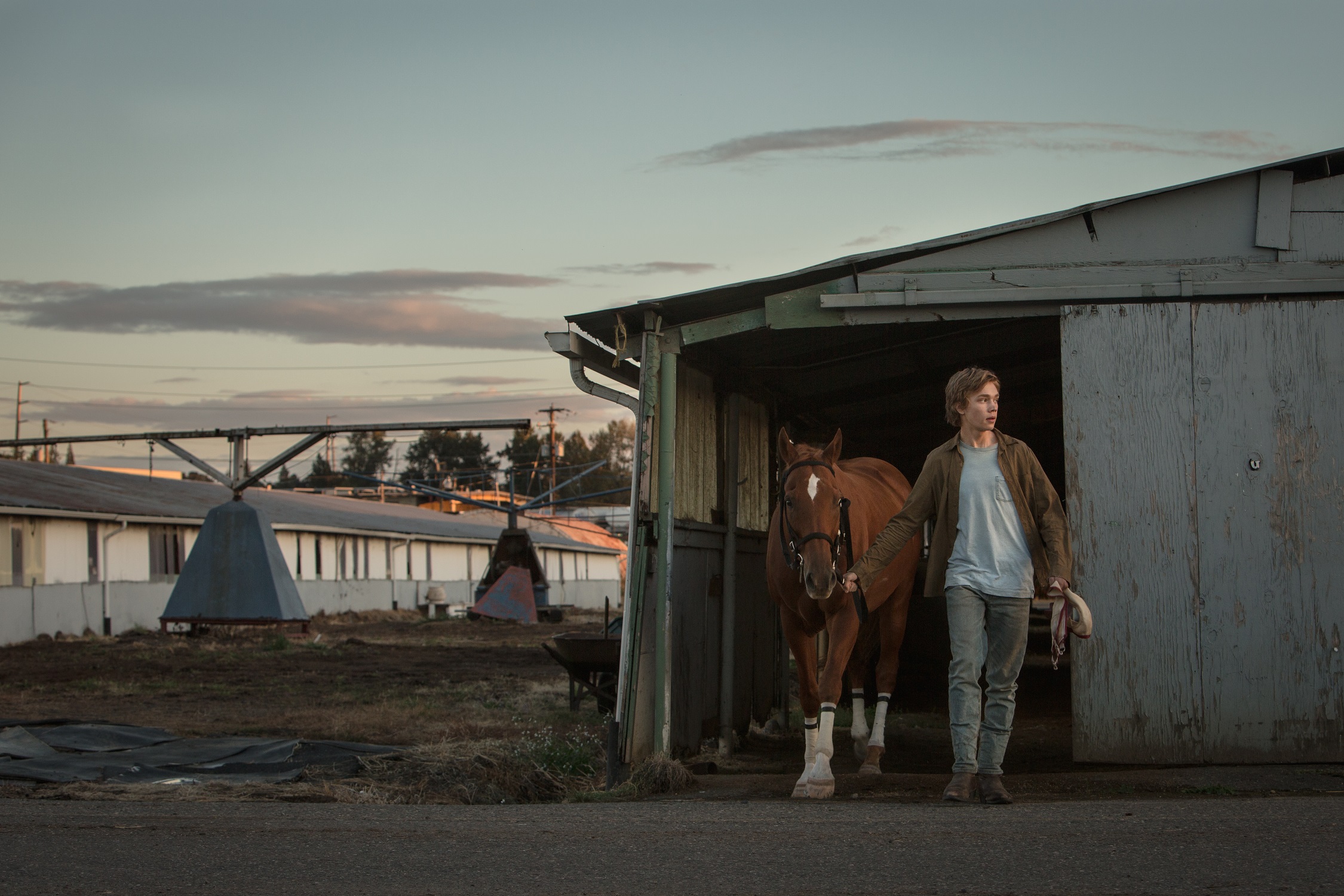 Lean On Pete - Andrew Haigh