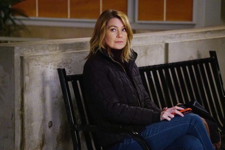 Grey's Anatomy 14