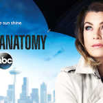 Grey's Anatomy 13
