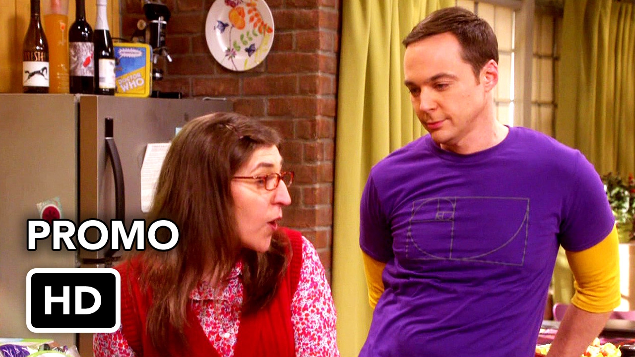 The Big Bang Theory 10x17