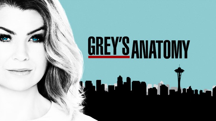 Grey's Anatomy 14 stagione