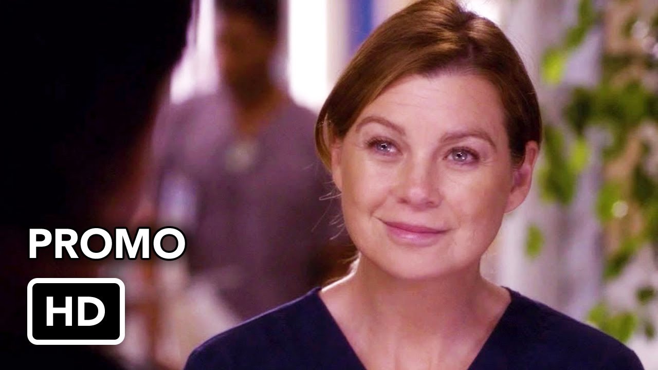 Grey's Anatomy 14
