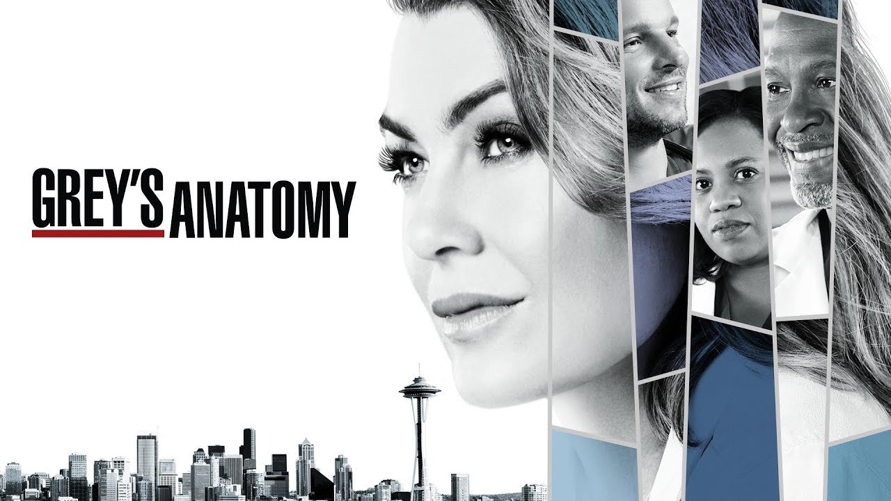 Grey's Anatomy 14