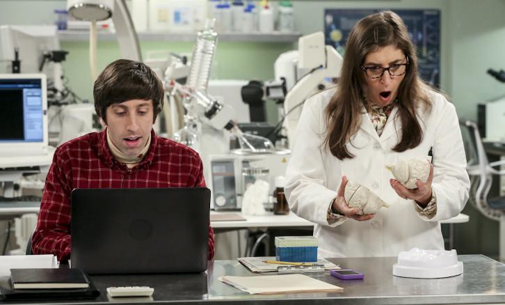 The Big Bang Theory 11x05