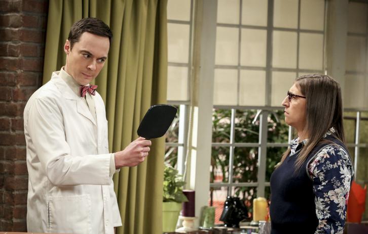 The Big Bang Theory 11x06