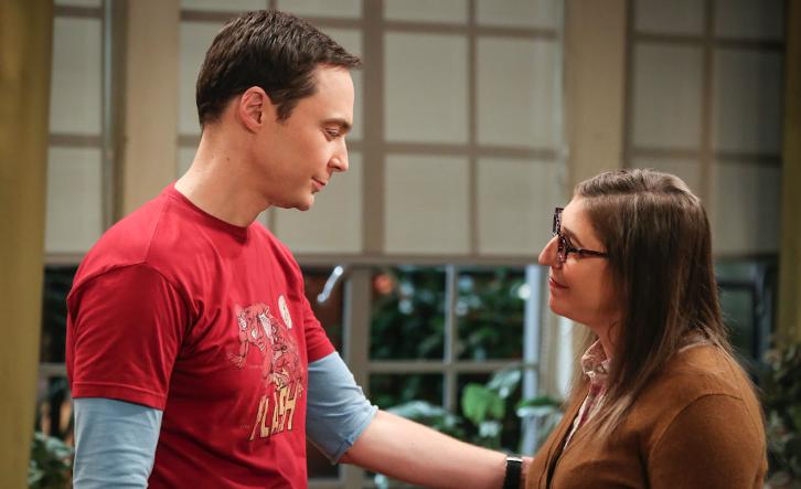 The Big Bang Theory 11x13