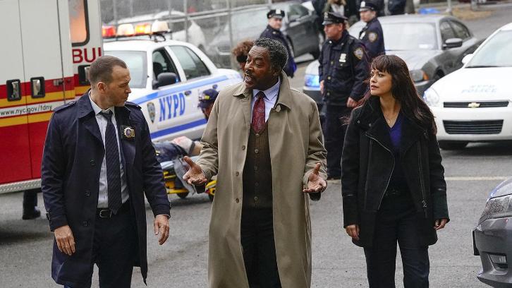 Blue Bloods 8x14