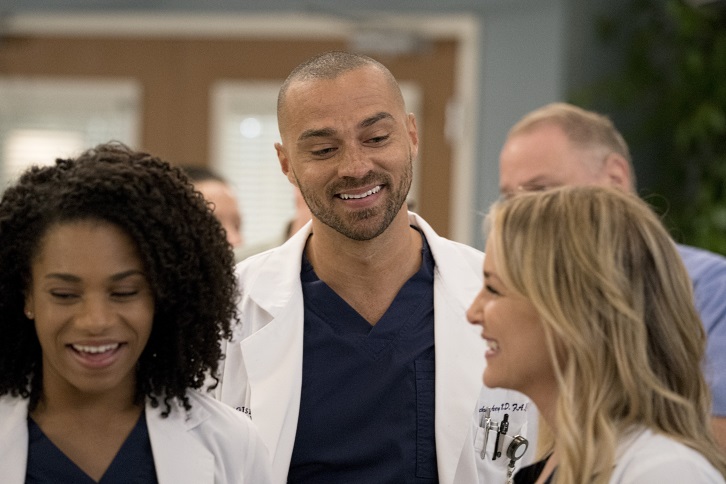 Grey's Anatomy 14x13