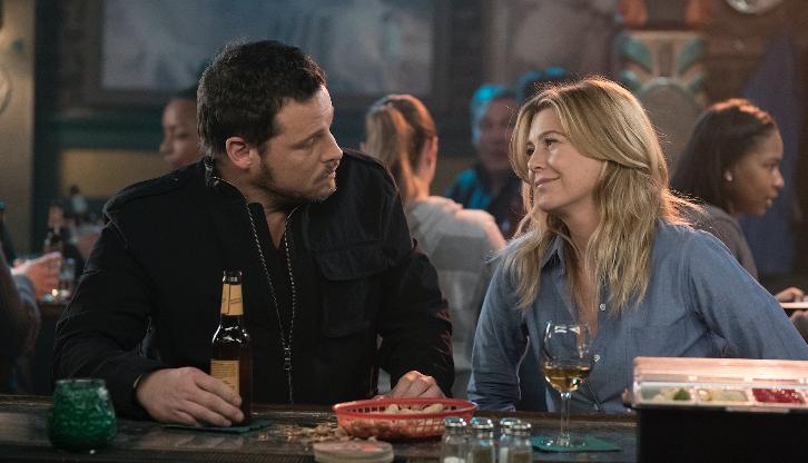 Grey's Anatomy 14x17