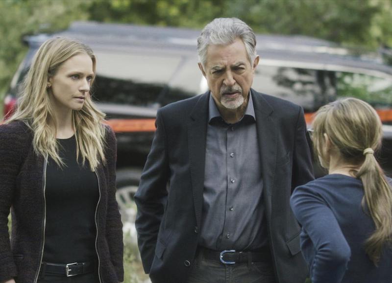 Criminal Minds 13x20