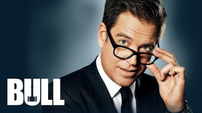 Bull 3