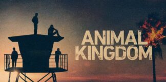 Animal Kingdom 6