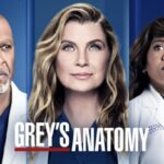 Grey's Anatomy 19