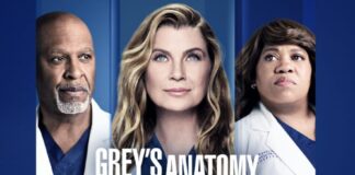 Grey's Anatomy 19