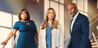 Grey’s Anatomy 19