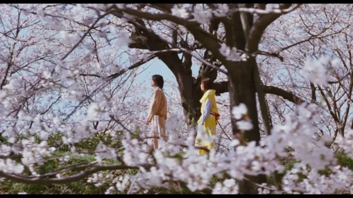 Dolls film