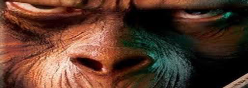 Rise of Apes: una cartolina come prima immagine