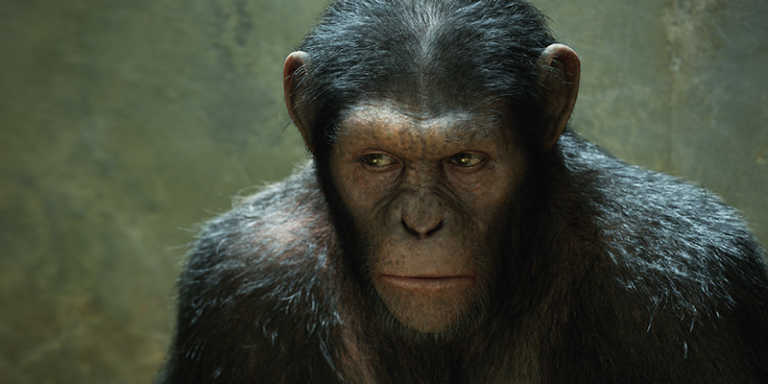 Scott Z Burn scrive il sequel dell’Alba del pianeta delle scimmie