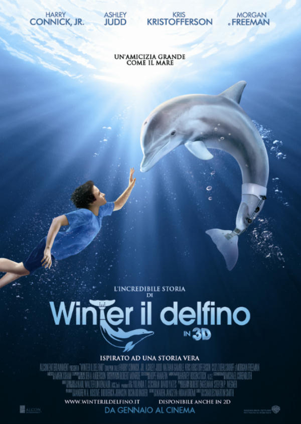 L'incredibile storia di Winter il delfino