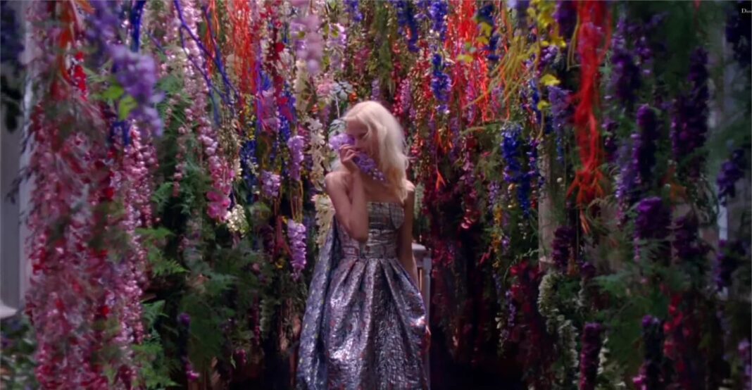 dior addict Harmony Korine