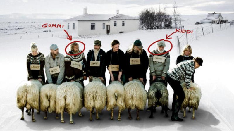 RAMS – Storia di due fratelli e otto pecore: lunedì 2 e martedì 3 con Sala Bio