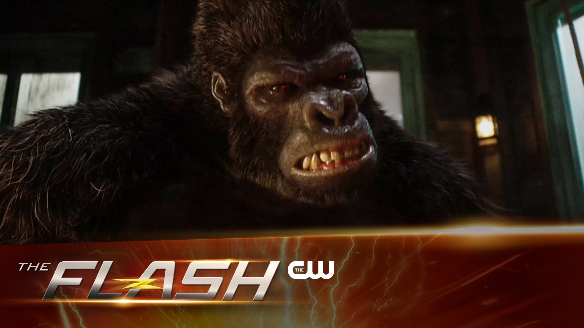 The Flash 2×07: promo esteso dall’episodio “Gorilla Warfare”
