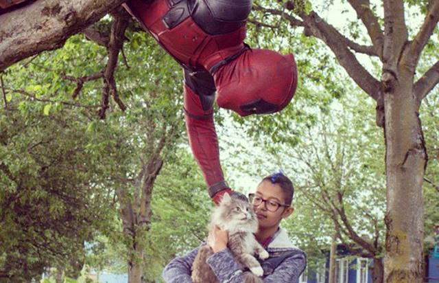 Deadpool buon samaritano salva un gattino da un albero