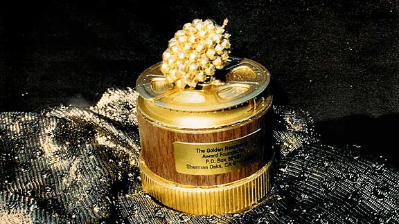 Razzie Awards 2018