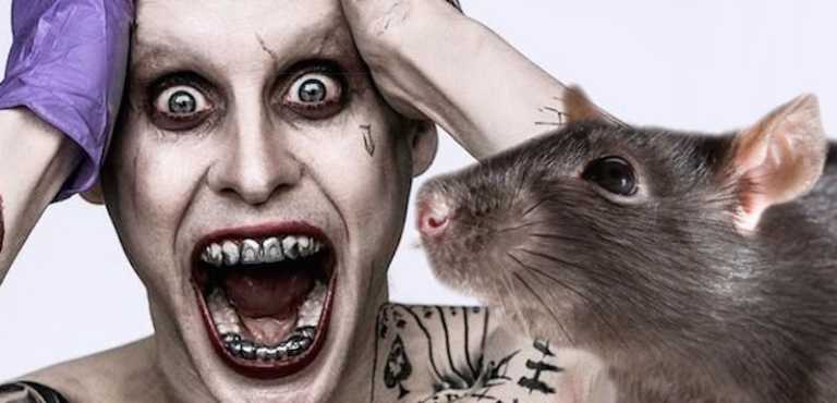 Suicide Squad: il topo di Jared Leto è finito a…Guillermo del Toro!