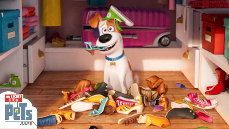 Pets – Vita da Animali: lo spot dal Super Bowl