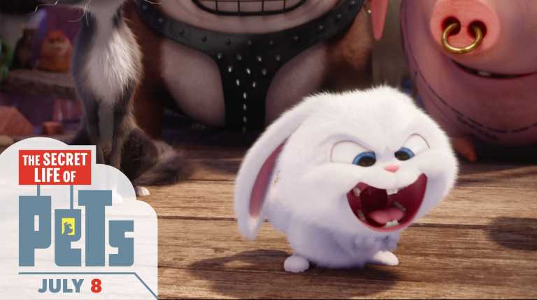 Pets – Vita da Animali: buona Pasqua nel nuovo video!