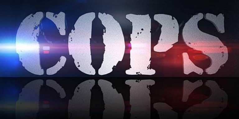 COPS: il regista di Zombieland per l’adattamento cinematografico COPS: il regista di Zombieland per l’adattamento cinematografico