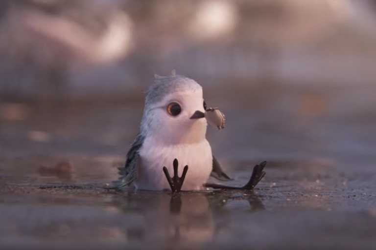 Piper recensione del cortometraggio Pixar