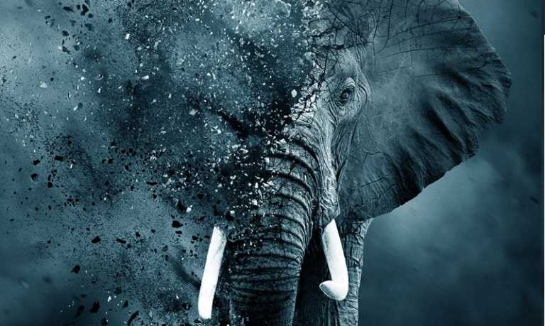The Ivory Game: trailer e poster del documentario prodotto da Leonardo DiCaprio