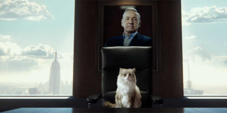 Una vita da Gatto recensione del film con Kevin Spacey