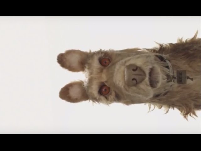 Wes Anderson annuncia Isle of Dogs, suo nuovo film