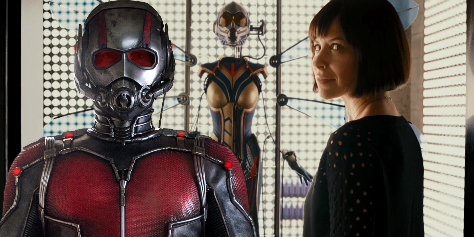 ant-man and the wasp marvel