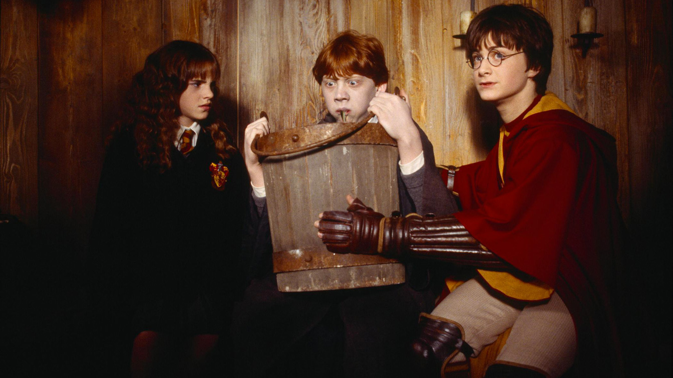 Harry Potter e la Camera dei Segreti
